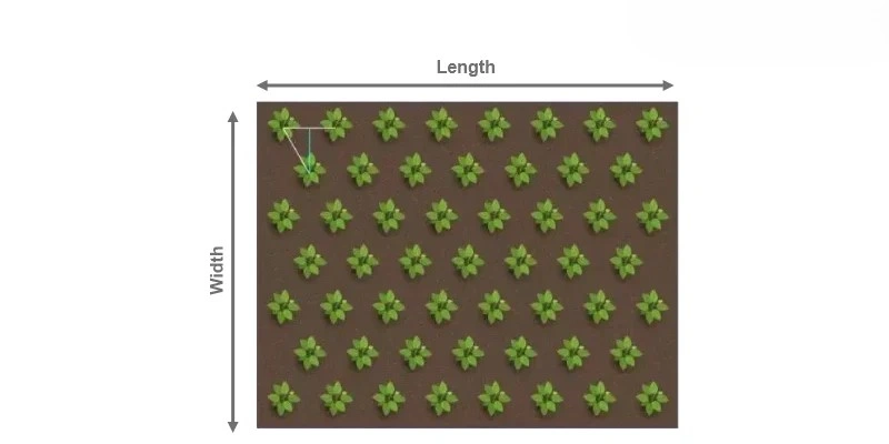 Triangular Spacing